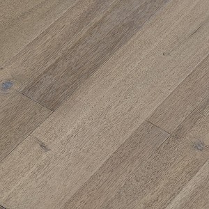 Bengal Bay 5 Inch